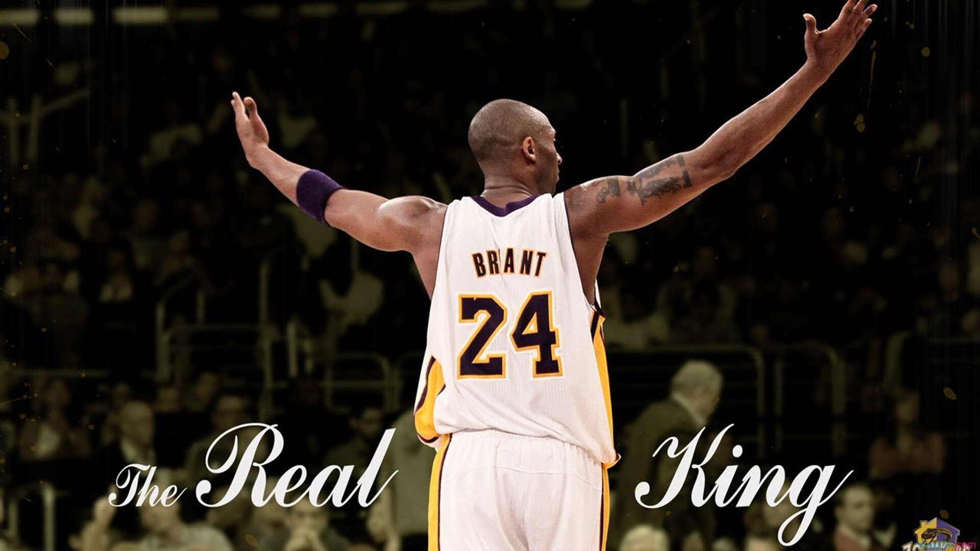 CBA最新消息！山东外援全部确定，玛吉奥加盟深圳，天津签布莱本，山东nba外援