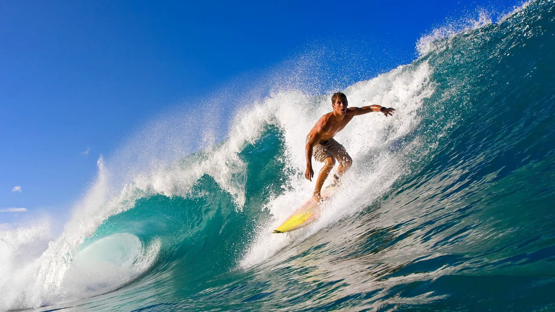 体育赛事的可持续性：绿色场馆与低碳运营，体育赛事可持续发展策略建议