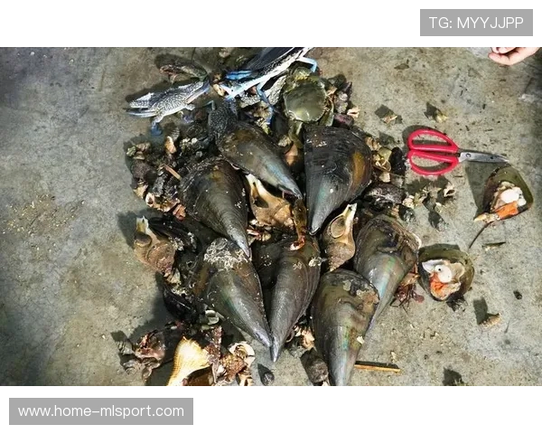 惠州赶海人晒满桶海鲜，网友羡慕，惠州赶海地